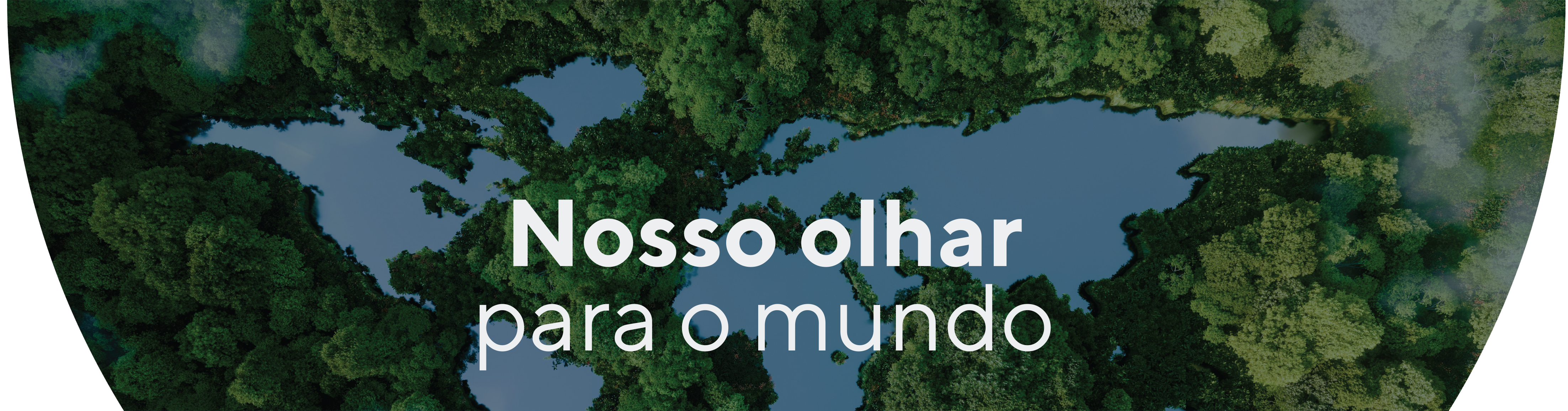 Imagem do card